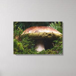Toile Champignons de Porcino