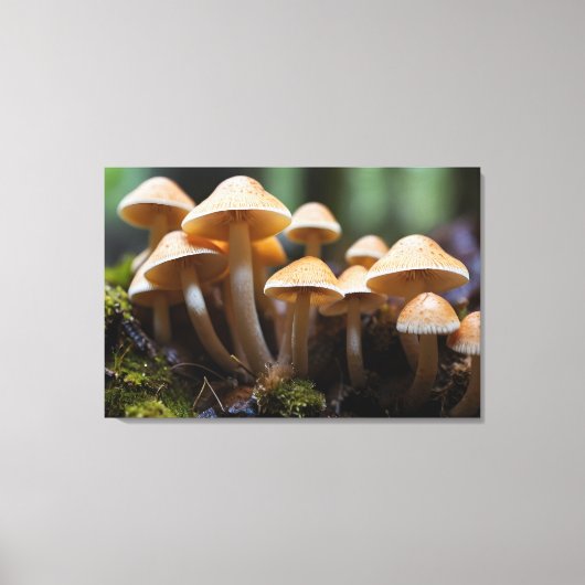 Toile Champignons en pleine forêt (Recto)