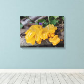 Toile Champignons jaunes (Insitu (Plancher de Bois))