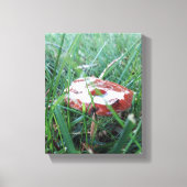 Toile Champignons orange avec pluie sur le dessus (Recto)