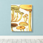 Toile Champignons vintages Brown Vert Art français Impri (Insitu (Plancher de Bois))