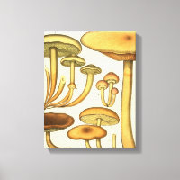 Champignons vintages Brown Vert Art français Impri