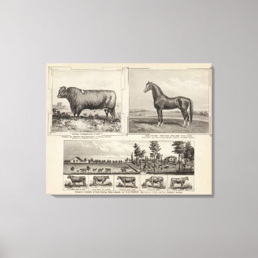 Toile Champion royal, Joe Young, Kansas (Recto)