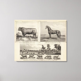 Toile Champion royal, Joe Young, Kansas