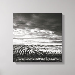 Toile champs agricoles