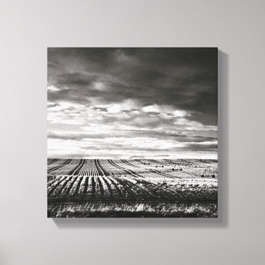 Toile champs agricoles (Recto)