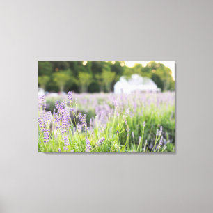 Toile Champs Serene Lavender