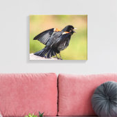 Toile Chant de Blackbird à ailes rouges (Insitu(Salon))