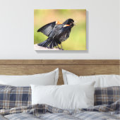 Toile Chant de Blackbird à ailes rouges (Insitu(Chambre))