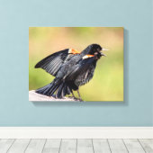 Toile Chant de Blackbird à ailes rouges (Insitu (Plancher de Bois))
