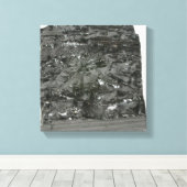 Toile Charbon (Insitu (Plancher de Bois))