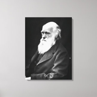 Toile Charles Darwin Portrait