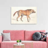 Toile Charles Hamilton Smith - Maned Wolf (Insitu(Salon))