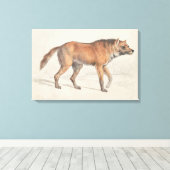 Toile Charles Hamilton Smith - Maned Wolf (Insitu (Plancher de Bois))