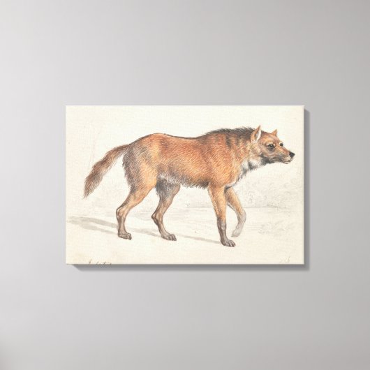 Toile Charles Hamilton Smith - Maned Wolf (Recto)