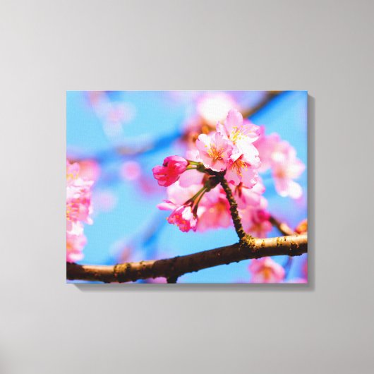 Toile Charme des fleurs de sakura au printemps (Recto)