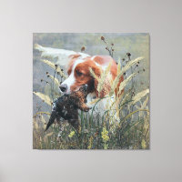 Chasse avec Epagneul Breton