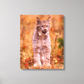 Toile Chasse Bobcat | Forêt d'automne (Recto)