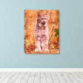 Toile Chasse Bobcat | Forêt d'automne (Insitu (Plancher de Bois))