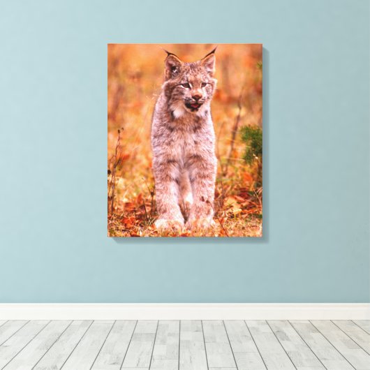 Toile Chasse Bobcat | Forêt d'automne (Insitu (Plancher de Bois))