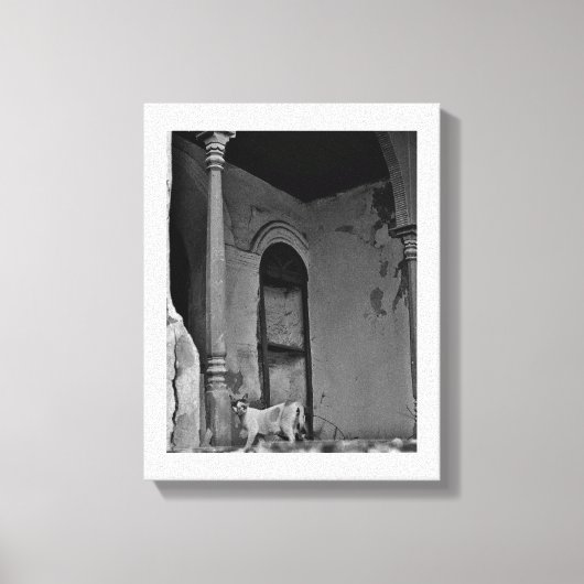 Toile Chat Al Balad (Recto)