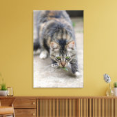 Toile chat attrapé un lézard (Insitu(Salon))