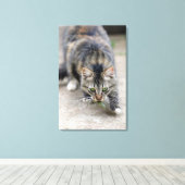 Toile chat attrapé un lézard (Insitu (Plancher de Bois))