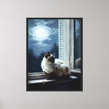 Chat au clair de lune