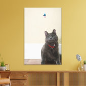 Toile Chat avec jouet (Insitu(Salon))