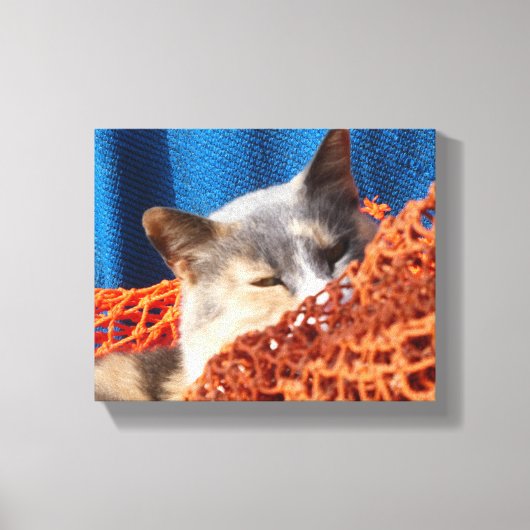 Toile Chat avec réseau nautique orange (Recto)
