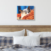 Toile Chat avec réseau nautique orange (Insitu(Chambre))