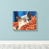 Toile Chat avec réseau nautique orange (Insitu (Plancher de Bois))
