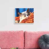 Toile Chat avec réseau nautique orange (Insitu(Salon))