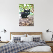 Toile chat averti se cachant sous bush. (Insitu(Chambre))
