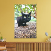 Toile chat averti se cachant sous bush. (Insitu(Salon))