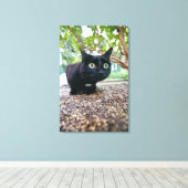 Toile chat averti se cachant sous bush. (Insitu (Plancher de Bois))