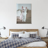 Toile chat blanc (Insitu(Chambre))