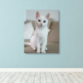 Toile chat blanc (Insitu (Plancher de Bois))