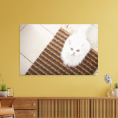 Toile Chat blanc assis sur le tapis (Insitu(Salon))