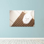 Toile Chat blanc assis sur le tapis (Insitu (Plancher de Bois))