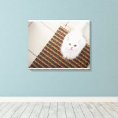 Toile Chat blanc assis sur le tapis (Insitu (Plancher de Bois))
