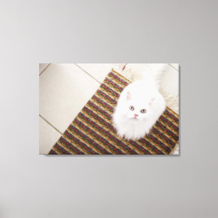 Toile Chat blanc assis sur le tapis