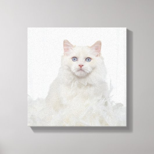 Toile Chat blanc avec plumes (Recto)