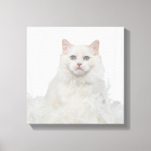 Toile Chat blanc avec plumes
