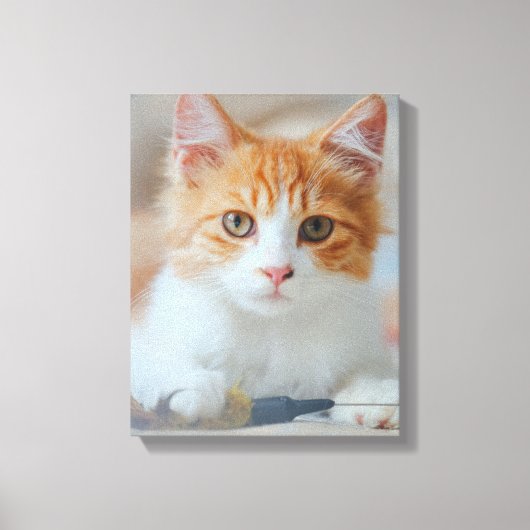 Toile Chat Brown (Recto)