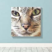 Toile Chat Brown Longhair Tabby (Insitu (Plancher de Bois))