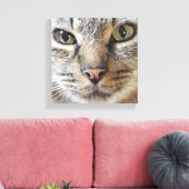 Toile Chat Brown Longhair Tabby (Insitu(Salon))