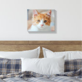 Toile chat Brown | Zazzle_Growshop. (Insitu(Chambre))