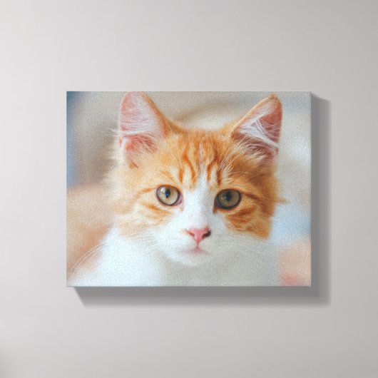 Toile chat Brown | Zazzle_Growshop. (Recto)