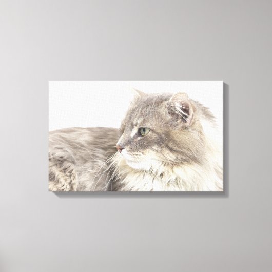 Toile Chat couché (Recto)